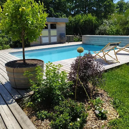Βίλα Maison Avec Piscine Chauffee Entre Ocean Et Bassin